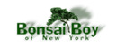 Bonsai Boy of New York brand logo for reviews of online shopping for Home and Garden products