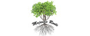 Majestic Roots brand logo for reviews of diet & health products