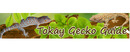 Tokaygecko guide brand logo for reviews of Good Causes