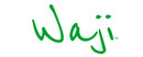 Waji brand logo for reviews of food and drink products