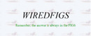 Wiredfigs brand logo for reviews of financial products and services