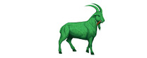 Green Goat brand logo for reviews of food and drink products