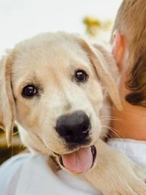 Should I Get a Dog? 8 Things to Consider Before Getting a Puppy