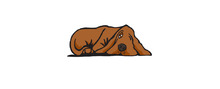 SleepDog brand logo for reviews of online shopping for Pet Shop products