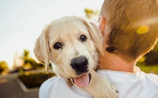 Should I Get a Dog? 8 Things to Consider Before Getting a Puppy