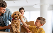 Does Pet Insurance Cover Vaccinations?