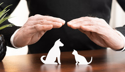 How can you keep your pets healthy with pet insurance?