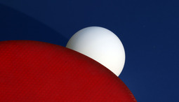 Games You Can Play with Ping Pong Balls