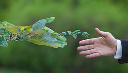 A Guide To Creating An Eco-Friendly Environment
