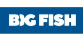 Big Fish Games brand logo for reviews of Good Causes